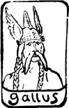 Gallus